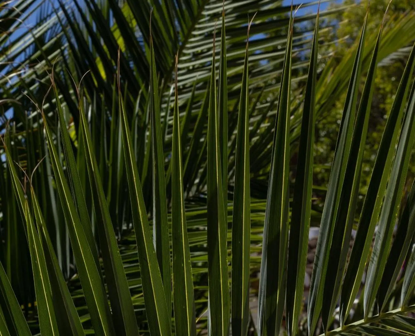 La Casa Del Burro Bed & Breakfast Nerja