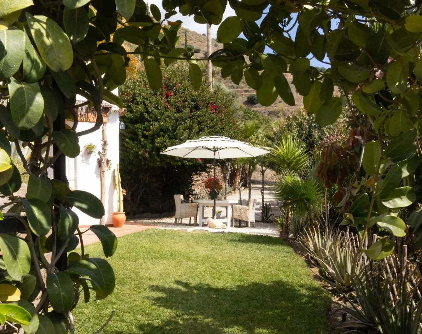 La Casa Del Burro Bed & Breakfast Nerja
