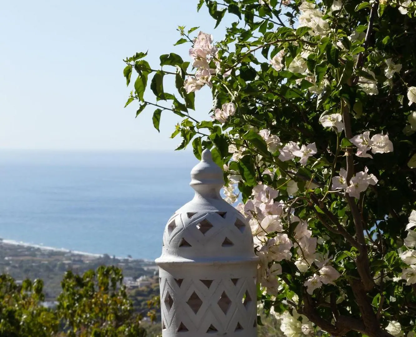 La Casa Del Burro Bed & Breakfast Nerja 0*,