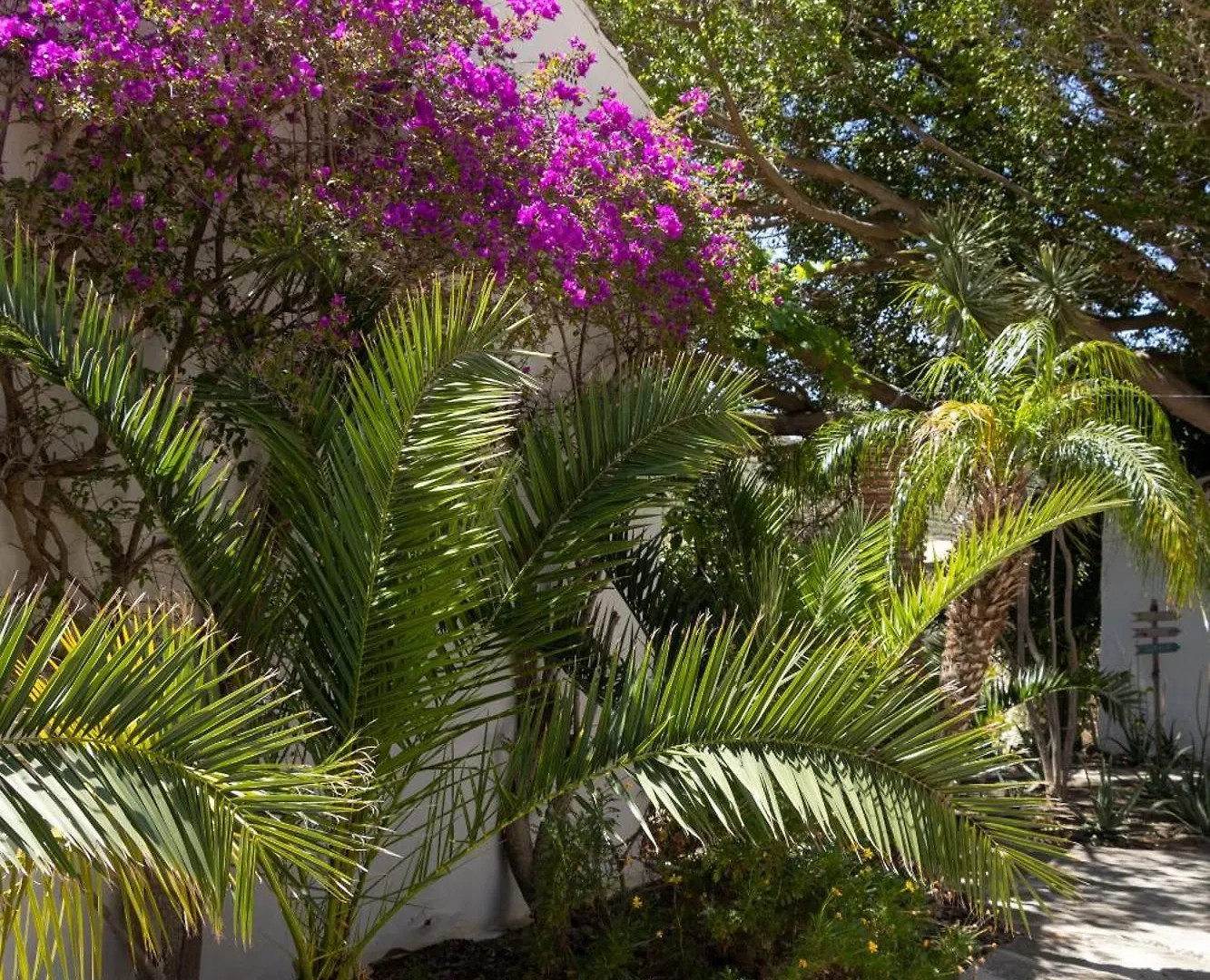 La Casa Del Burro Bed & Breakfast Nerja
