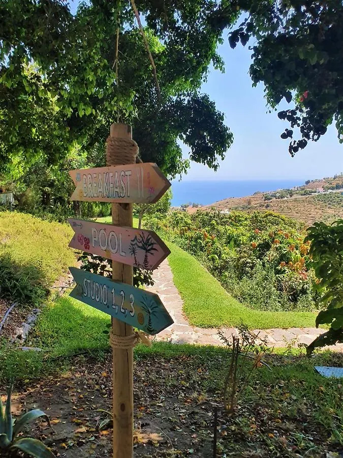 La Casa Del Burro Bed & Breakfast Nerja Spain