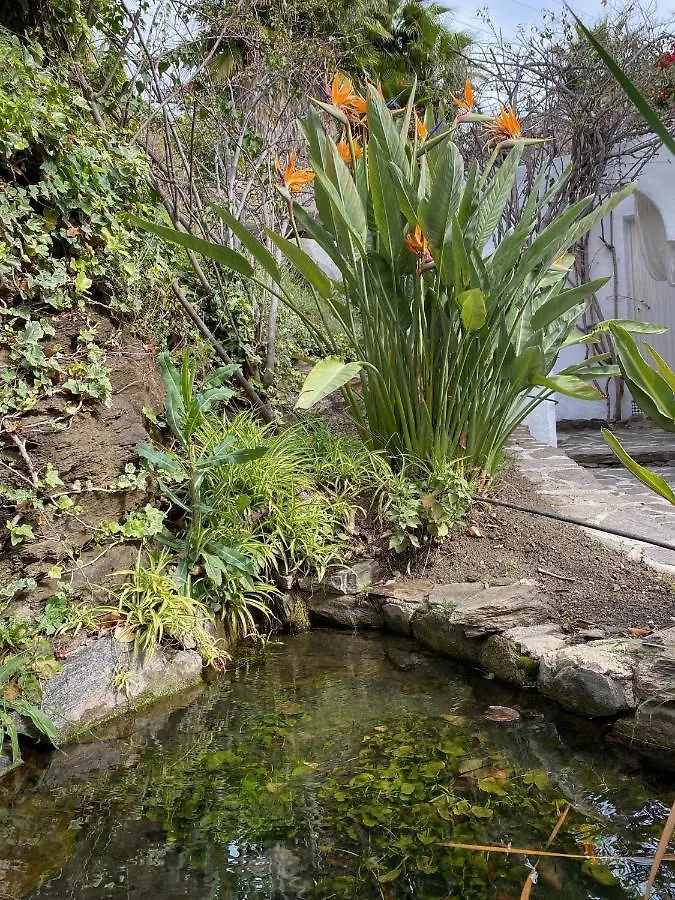 La Casa Del Burro Bed & Breakfast Nerja