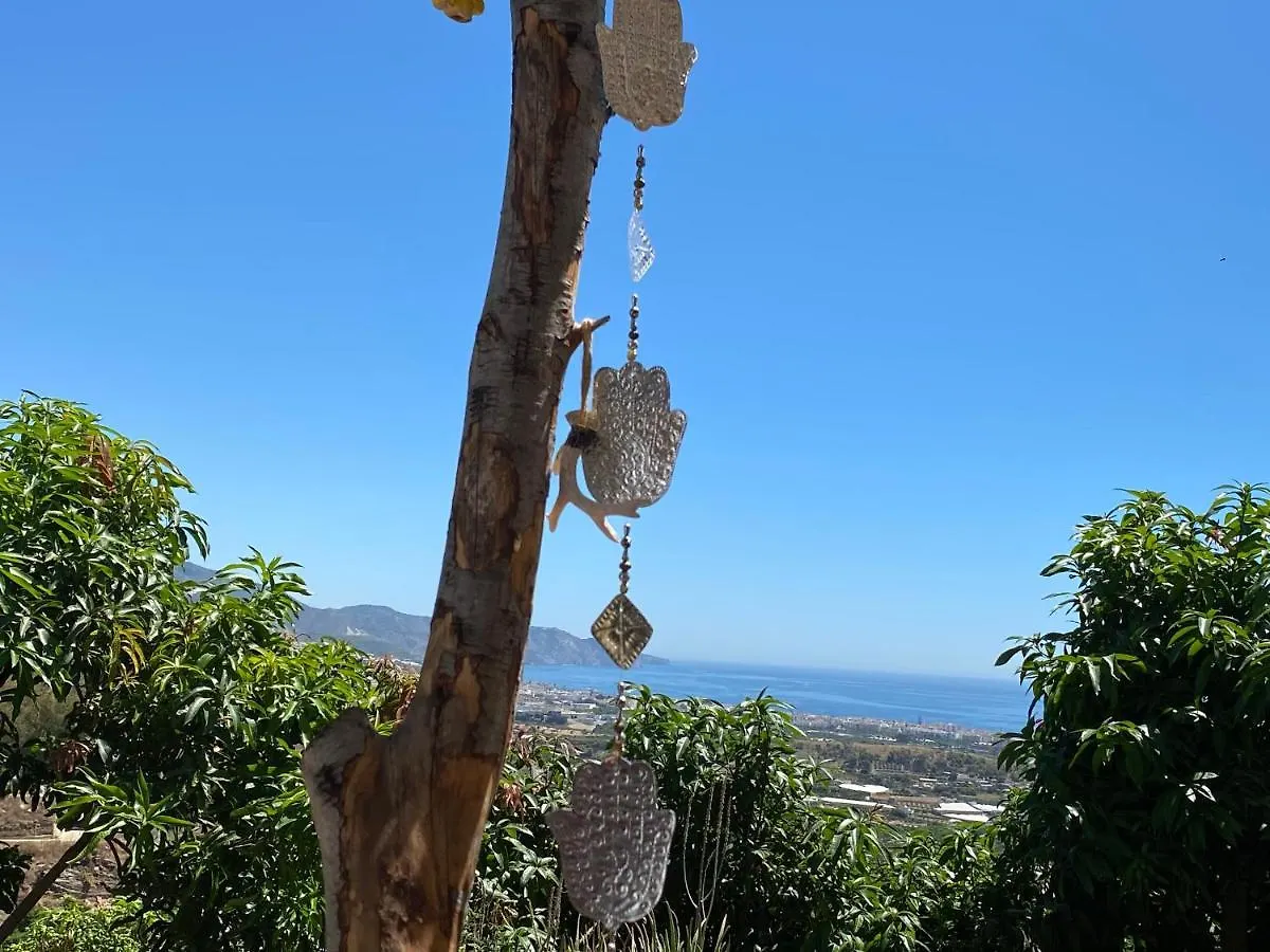 La Casa Del Burro Bed & Breakfast Nerja 0*,  Spain