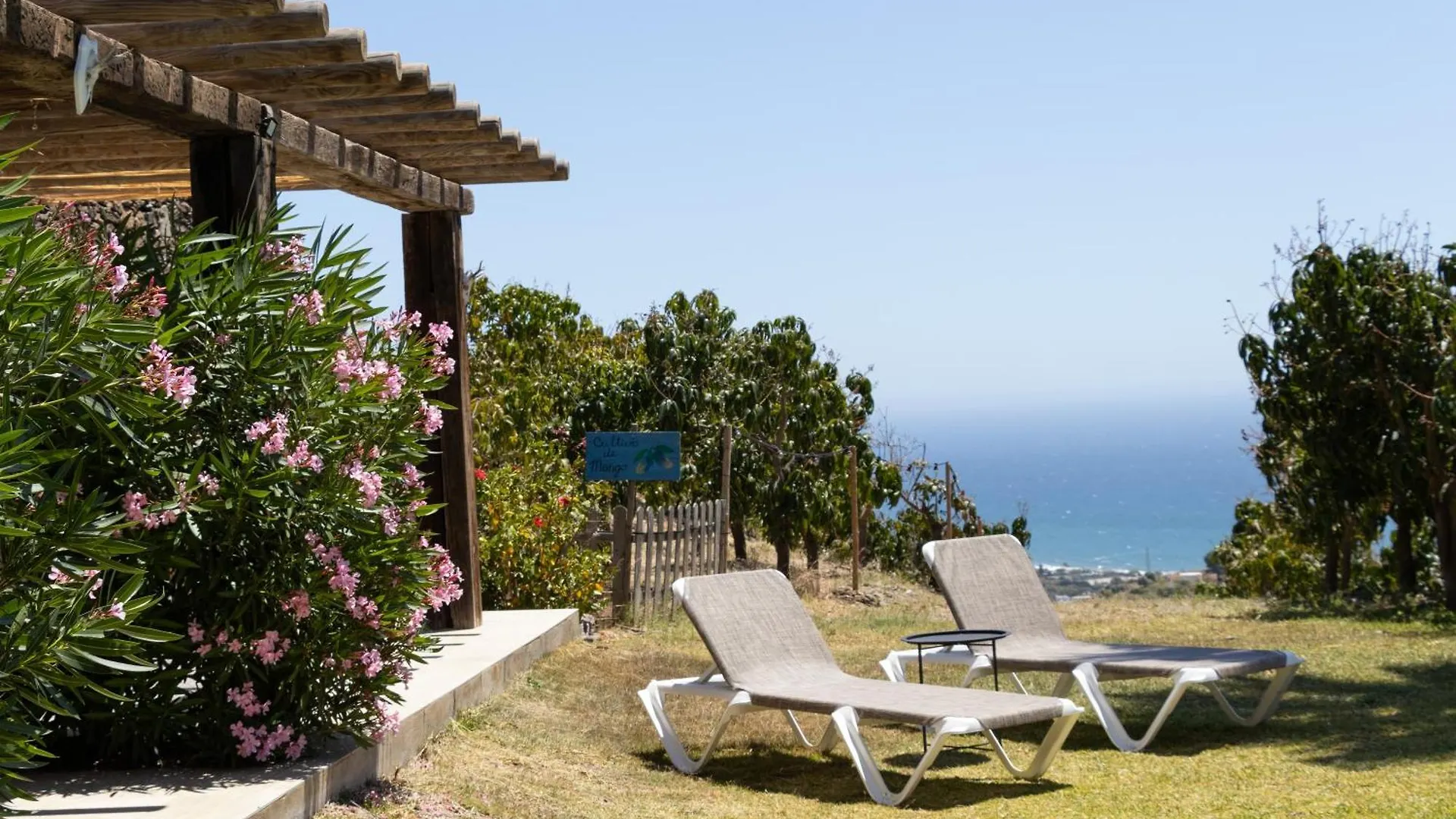La Casa Del Burro Bed & Breakfast Nerja