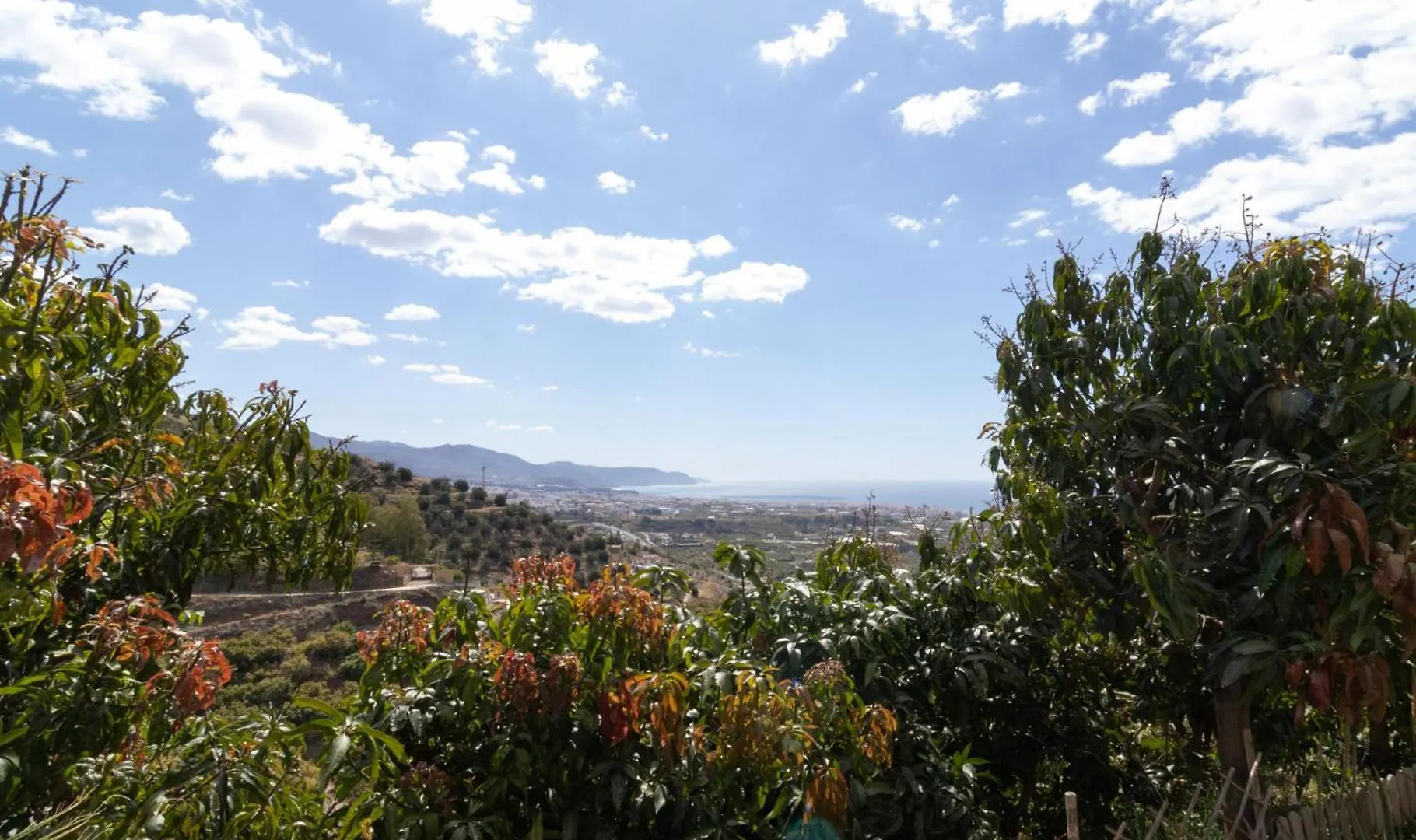 La Casa Del Burro Bed & Breakfast Nerja